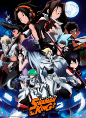 Poster Shaman King Shaman Fight 38x52cm Abystyle GBYDCO422 | Posters.nl