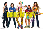 GBeye Birds of Prey Group Poster 91,5x61cm | Posters.nl