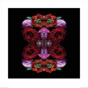 Pyramid Alyson Fennell Paradise of Petals Kunstdruk 60x60cm | Posters.nl
